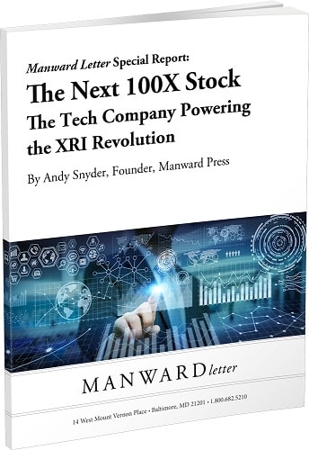 The Next 100X Stock: The Tech Company Powering the XRI Revolution