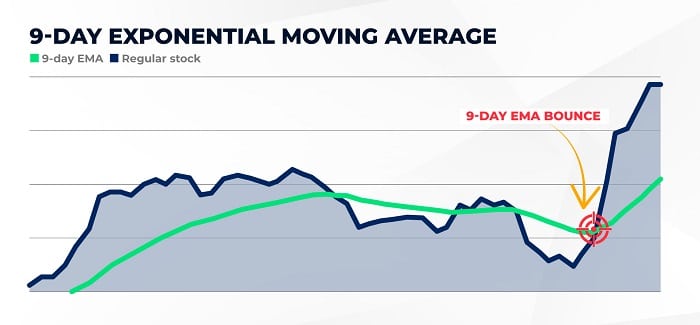 Bryan Bottarelli Overnight Whale Trades